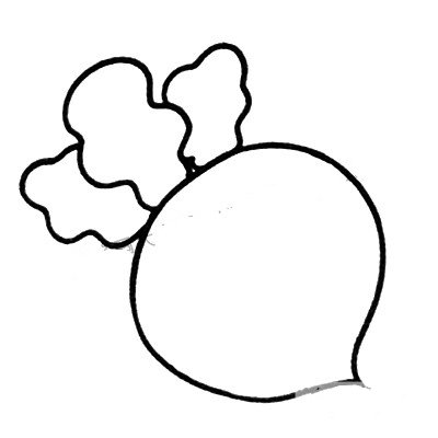 简笔画中级篇_萝卜-3