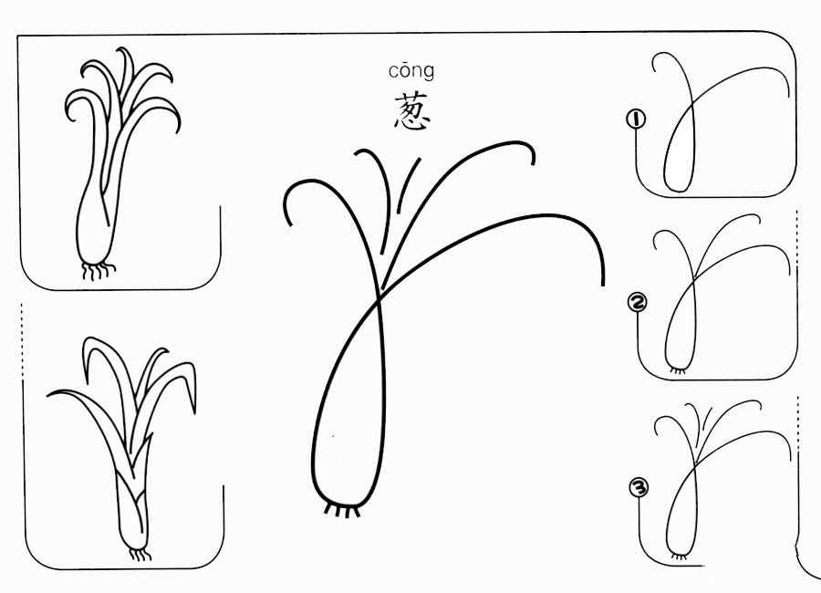 大葱怎么画-1