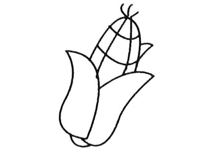 玉米简笔画大全及画法步骤-3
