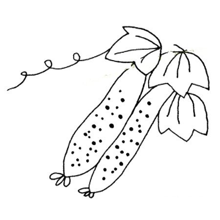 一组简单的蔬菜简笔画图片-2