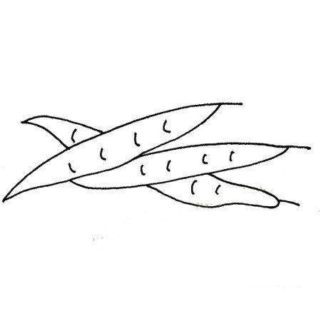 一组简单的蔬菜简笔画图片-3