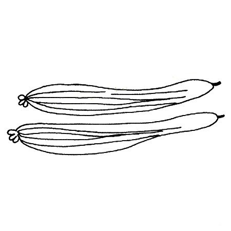 一组简单的蔬菜简笔画图片-5