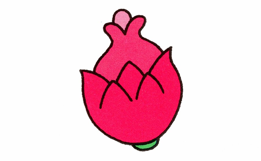 火龙果简笔画画法-1