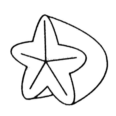 杨桃简笔画大全及画法步骤-3