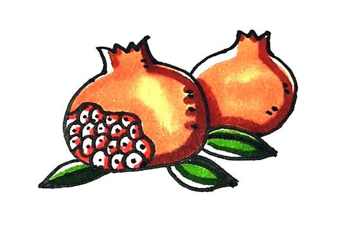 学画石榴简笔画-1