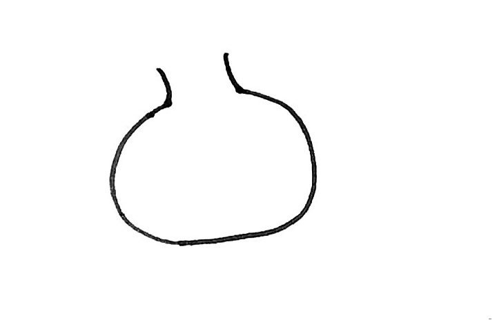 学画石榴简笔画-3