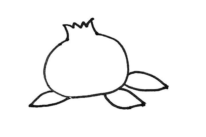 学画石榴简笔画-5