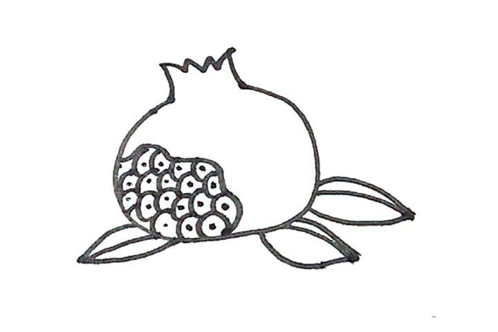 学画石榴简笔画-7