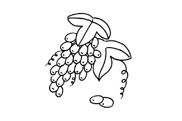 四张常吃水果简笔画图片-3