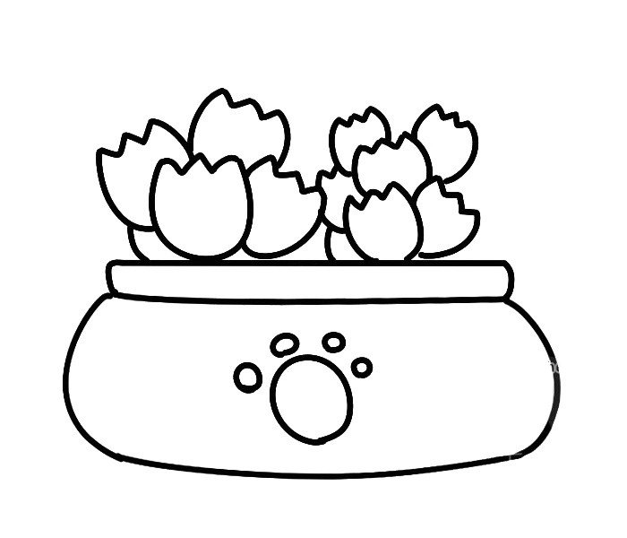 多肉植物熊童子-1