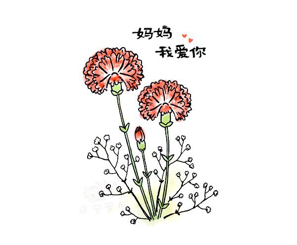 画一束漂亮的康乃馨简笔画-1