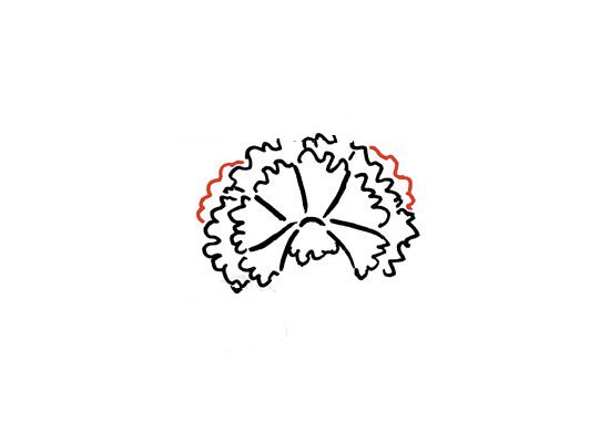 画一束漂亮的康乃馨简笔画-6