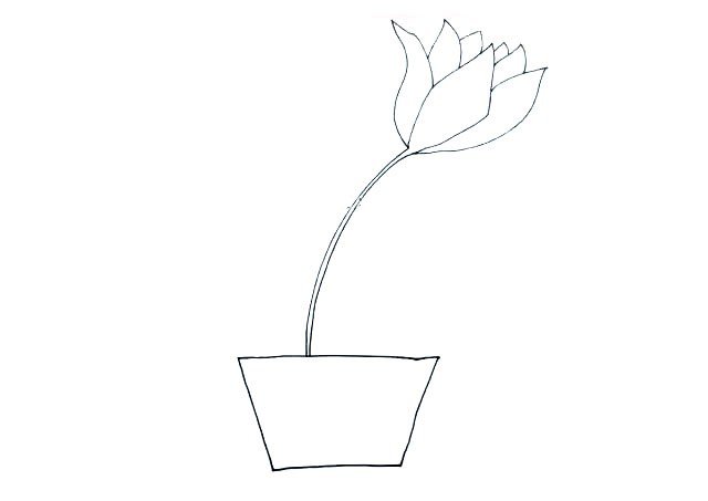 画百合花盆栽-5