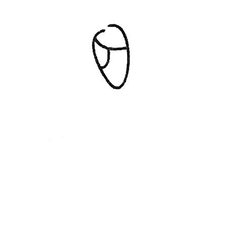 兰花简笔画大全及画法步骤-1