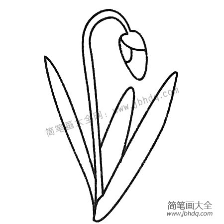 兰花简笔画大全及画法步骤-2