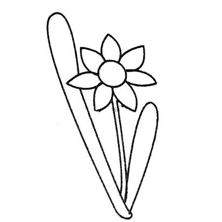兰花简笔画大全及画法步骤-3