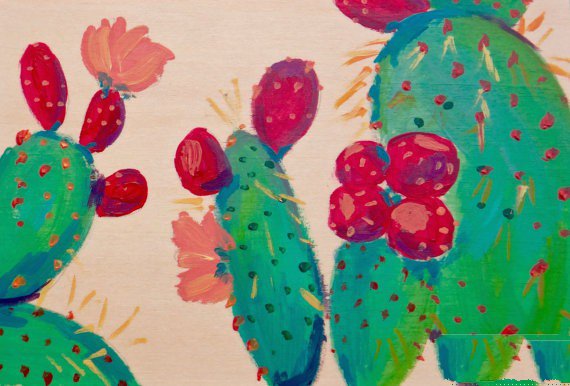 仙人掌开花啦植物写生画图片大全-1