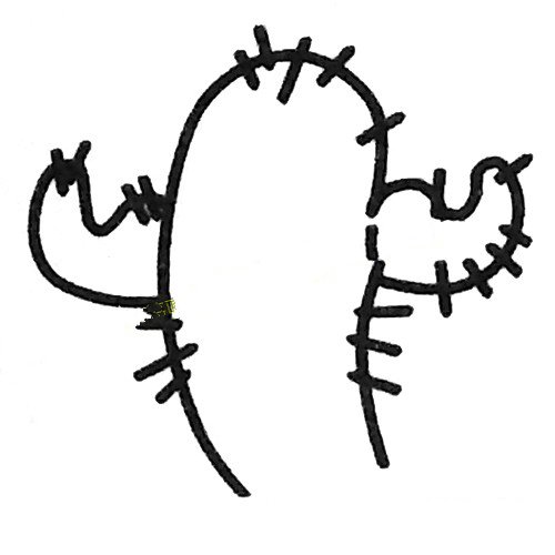 可爱的仙人掌简笔画教程-3