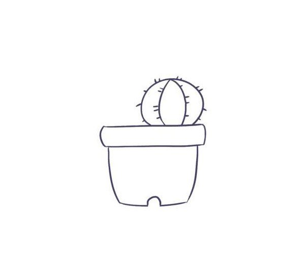 漂亮的仙人掌简笔画-3