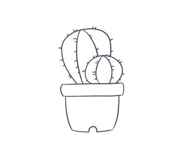 漂亮的仙人掌简笔画-4