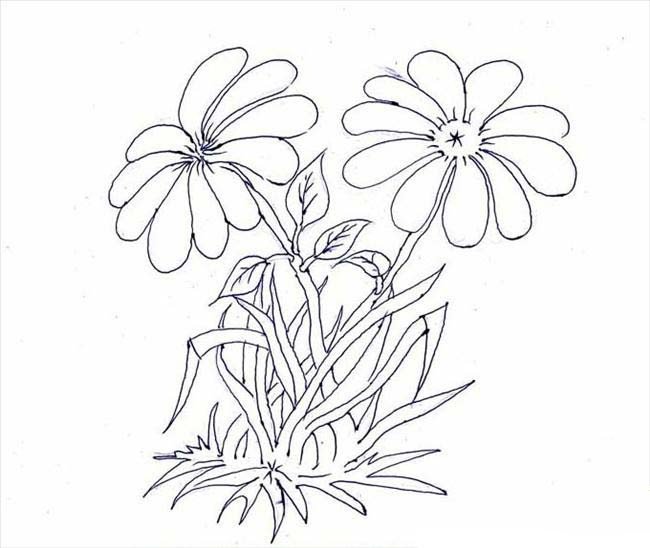 花朵简笔画大全_菊花简笔画-3