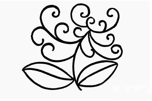 绽开的菊花简笔画-1