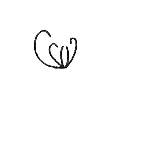 简单的菊花简笔画教程-1