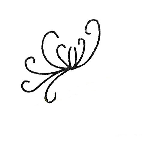 简单的菊花简笔画教程-2