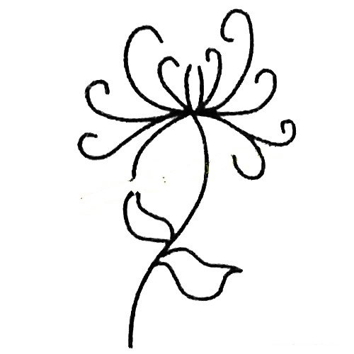 简单的菊花简笔画教程-4