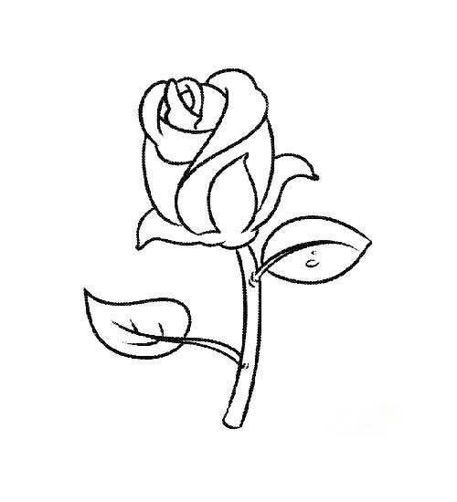 七夕情人节玫瑰花简笔画-1