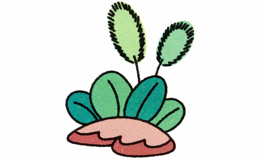 狗尾草简笔画画法-1
