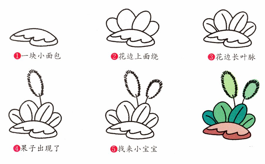 狗尾草简笔画画法-2