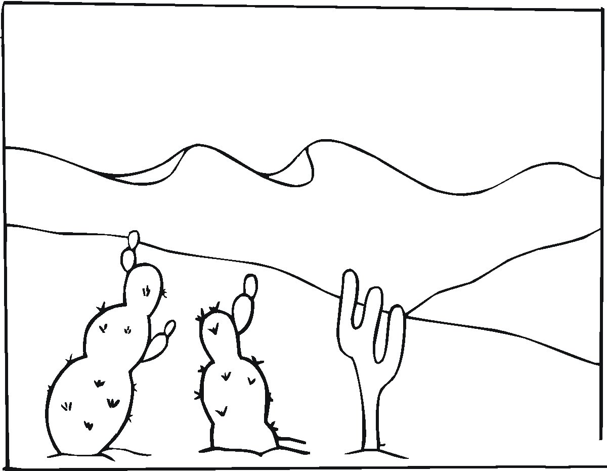 简画沙漠里的仙人掌-1