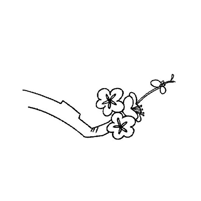 梅花6-1