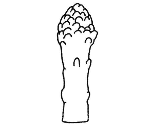 芦笋简笔画图片-1