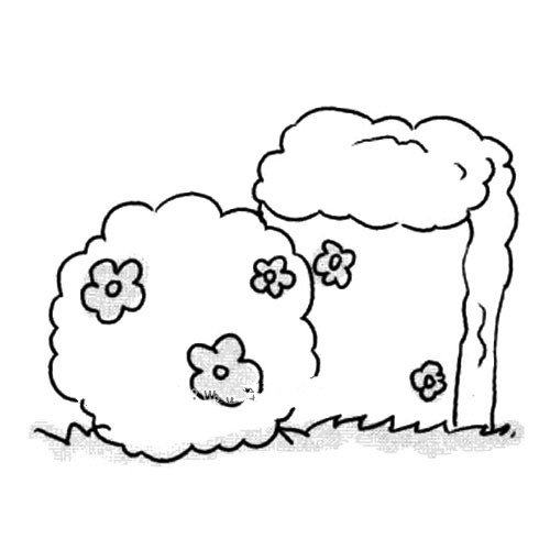 漂亮的灌木简笔画图片-1