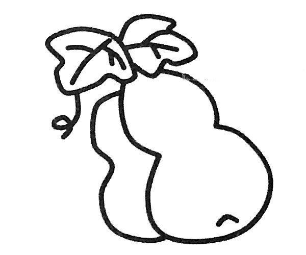 四步学画葫芦简笔画-4