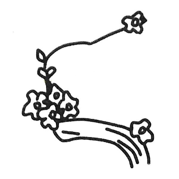 儿童简笔画大全_梅花简笔画教程-3