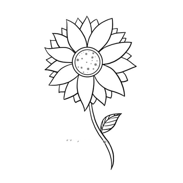 很容易学会的向日葵简笔画-1