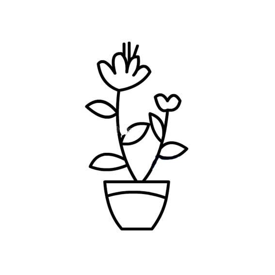 花盆里的花朵简笔画-2