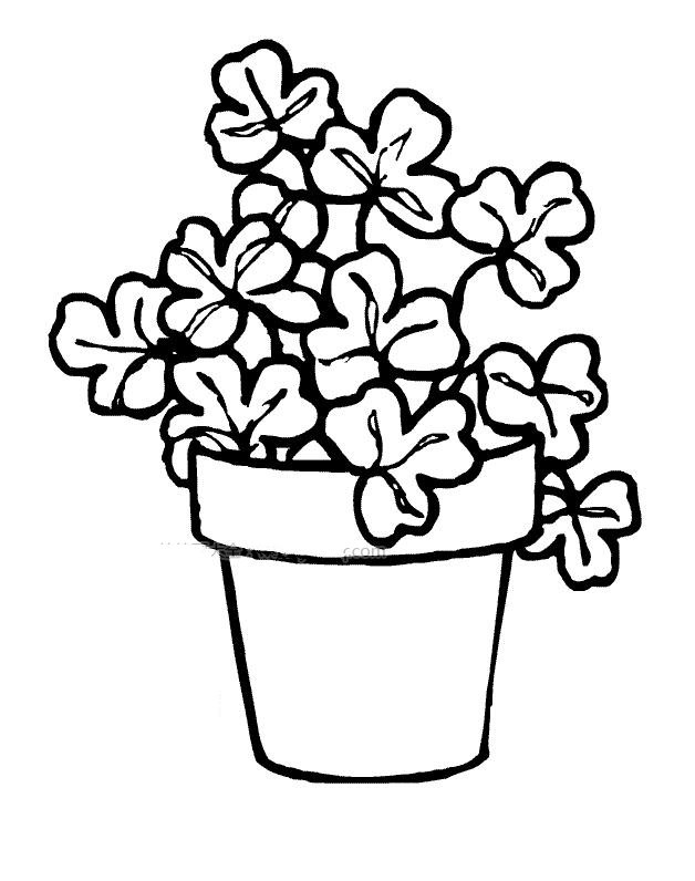 三叶草盆景简笔画-1