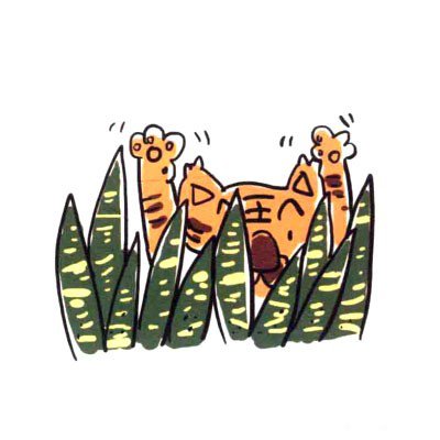 四步画出可爱简笔画_健壮的虎皮兰-7