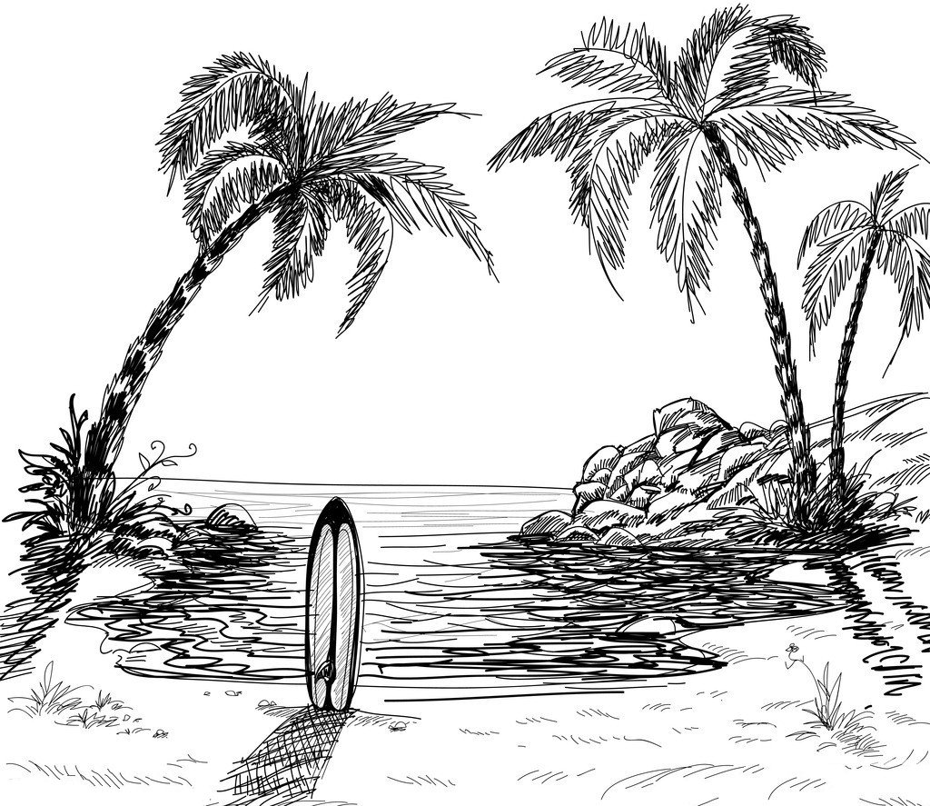 夏天的椰子树简笔画图片-1