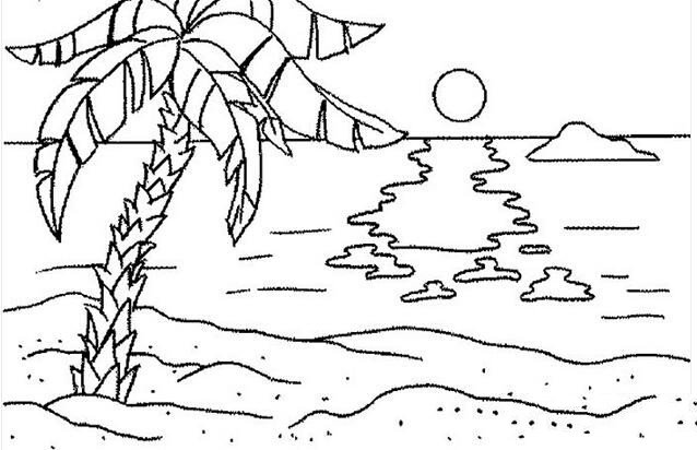 夏天的椰子树简笔画图片-3