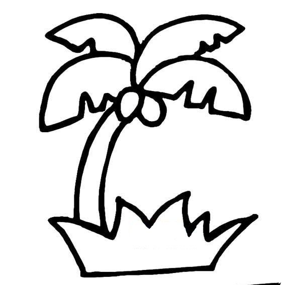 椰子树简笔画大全-3