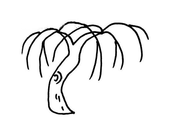 3张柳树简笔画的画法-1