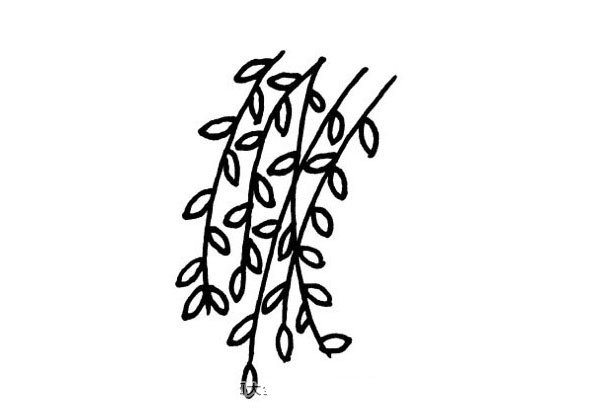 3张柳树简笔画的画法-3