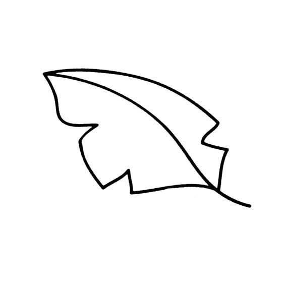 多种树叶简笔画画法-7
