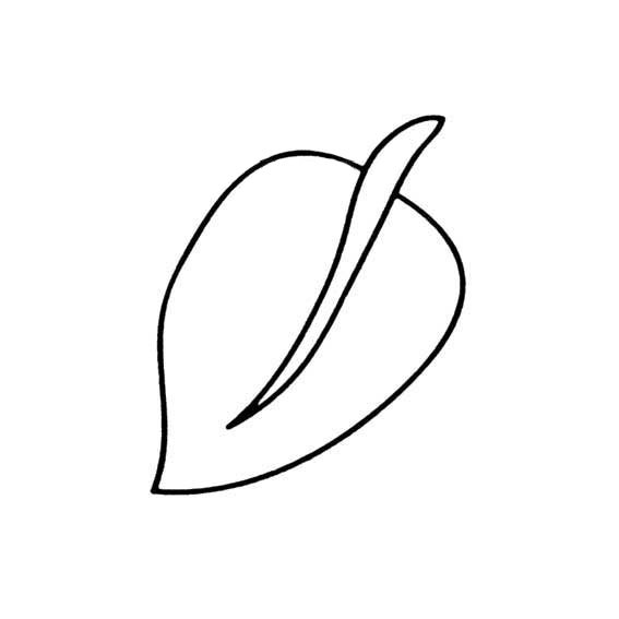 多种树叶简笔画画法-9