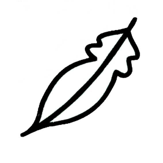 多种树叶简笔画画法-10